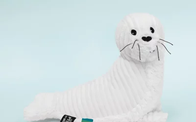 Ptipotos der Seehund in weiß