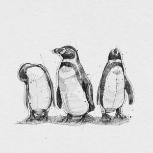 Christoph Kadur Kunstdruck Pinguine