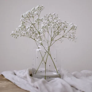 Eulenschnitt Vase aus Glas mit Punkte